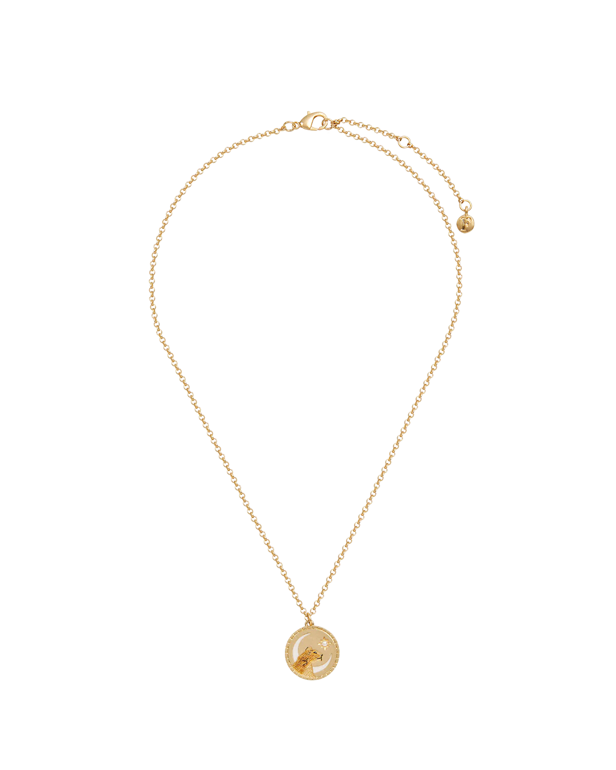 Gold Lioness Spirit Guide Pendant Necklace - Image 2