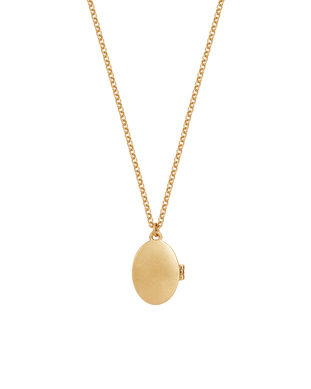 Gold Robin & Blackberry Locket Necklace - Image 5